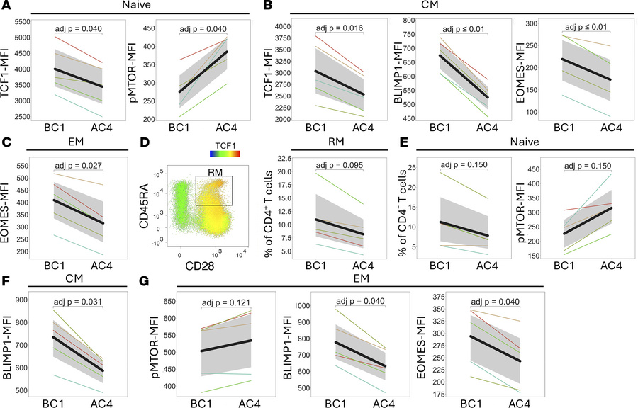 TGF-β blockade increases the levels of phospho-mTOR and decreases transc...