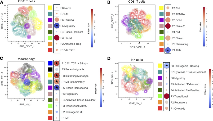 TGF-β blockade decreases resident T cells and increases inflammatory mac...