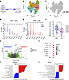 Lymph node cells transcribing SIV on ART display a higher metabolic signatu