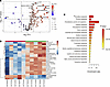 TGF-β blockade increases metabolism of blood immune cells.