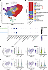 Liver endothelial cell zonation is disrupted in FALD.