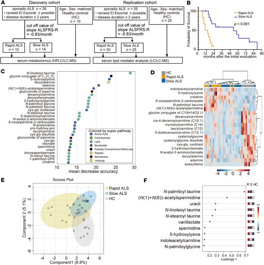 Metabolomics analysis of patients with ALS and healthy individuals.
(A) ...