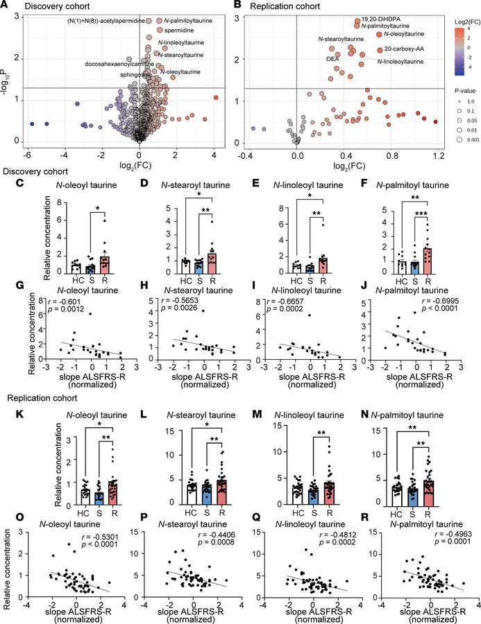 Alteration in N-acyl taurine metabolism among patients with rapidly prog...
