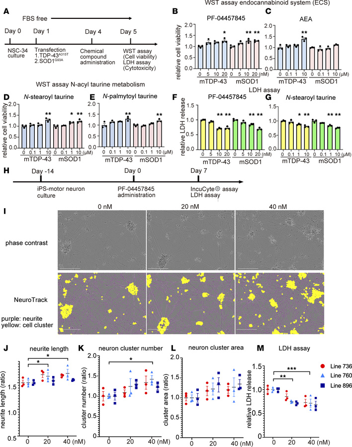 Cellular assays of compounds targeting the expanded endocannabinoid syst...