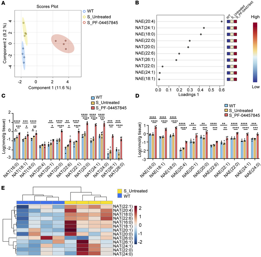 Lipidomics analysis of spinal cords of WT and SOD1G93A transgenic mice w...