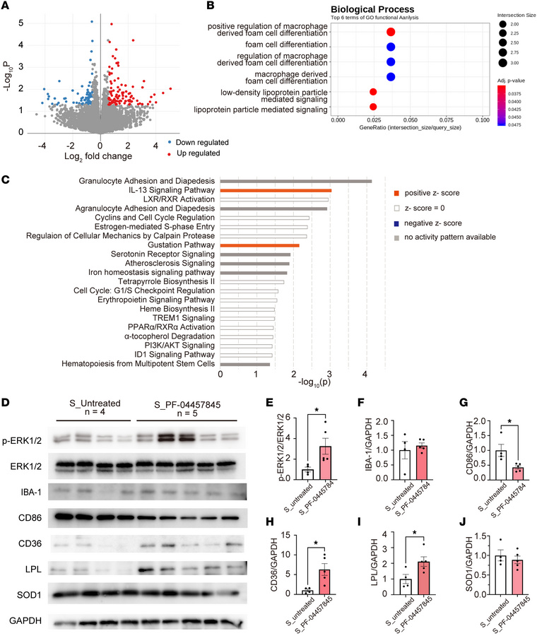 RNA-Seq analysis of the spinal cords from SOD1G93A transgenic mice treat...