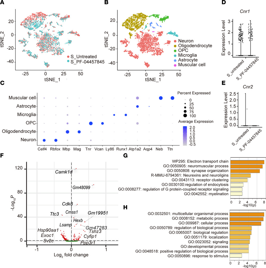 Single-nucleus RNA-Seq analysis of the spinal cords from SOD1G93A transg...