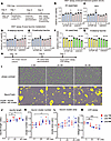 Cellular assays of compounds targeting the expanded endocannabinoid system