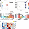 Lipidomics analysis of spinal cords of WT and SOD1G93A transgenic mice with