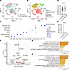 Single-nucleus RNA-Seq analysis of the spinal cords from SOD1G93A transgeni