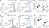 PI3Kγ MP enhances ETI efficacy in human bronchial epithelial cells from ind