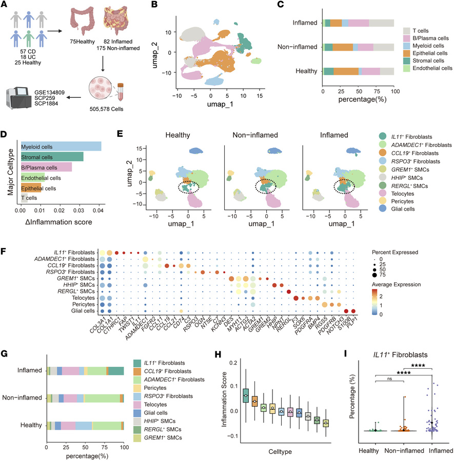 Cellular composition of the inflamed gut in IBD at single-cell resolutio...