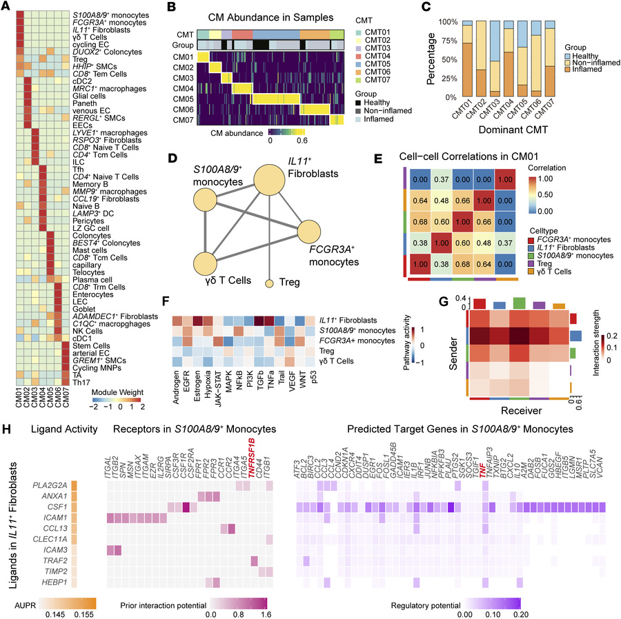An IL11+ fibroblast–centric CM and its intercellular interaction network...