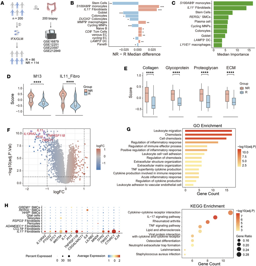
IL11+ fibroblasts are associated with nonresponse to anti–TNF-α.
(A) Sc...