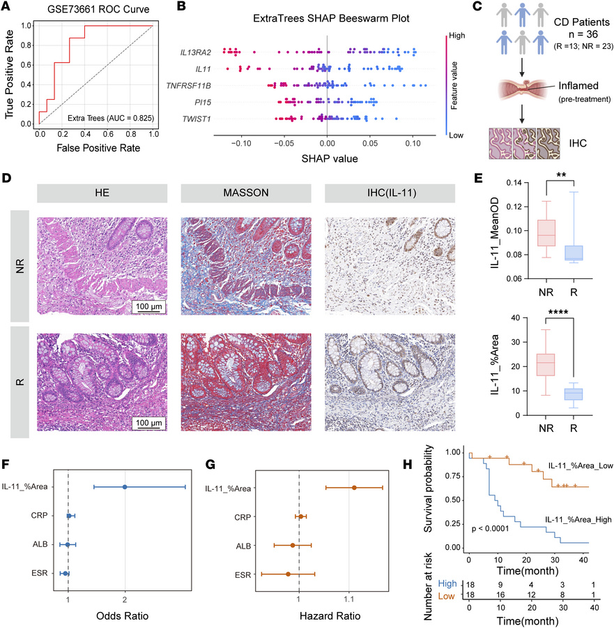 The central role of IL11 in the nonresponse prediction model.
(A) ROC cu...