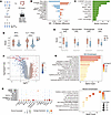 IL11+ fibroblasts are associated with nonresponse to anti–TNF-α.