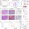The central role of IL11 in the nonresponse prediction model.