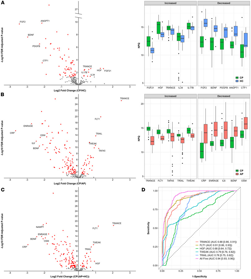 Differentially expressed plasma proteins distinguish CP, AP, and HC.
(A)...