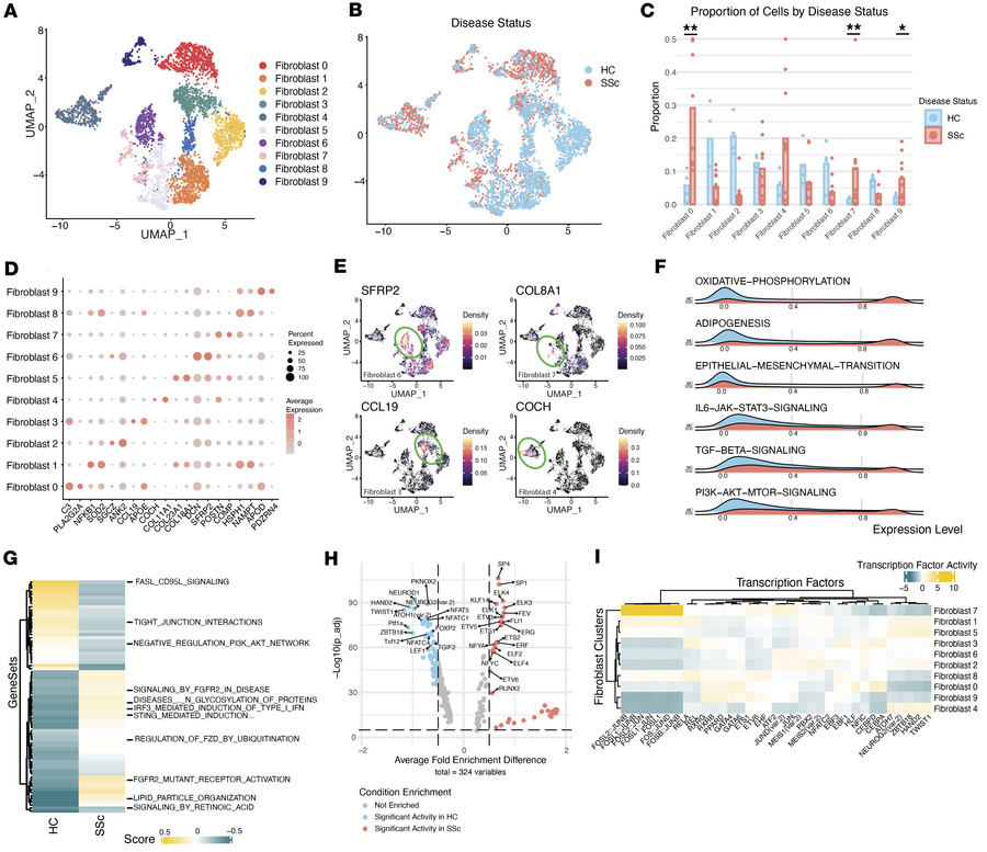SSc fibroblasts demonstrate major transcriptomic activation in growth fa...