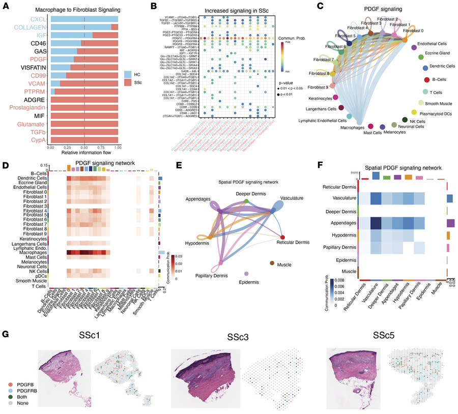 Ligand-receptor analysis demonstrates the enrichment of PDGF signaling f...