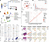 Complete snMultiome clustering and spatial transcriptomics analysis reveal