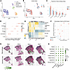 Immune compartment shows macrophage activation in SSc samples.