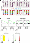 Pharmacological effects of CBD-CNP on bone growth revealed with spatial tra
