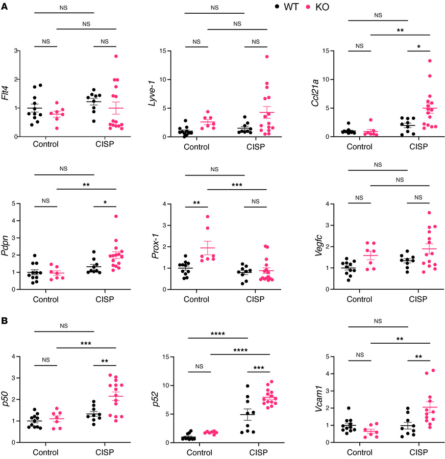 Transcriptional profiles of VEGFR-3–specific RelA-deficient mice and flo...