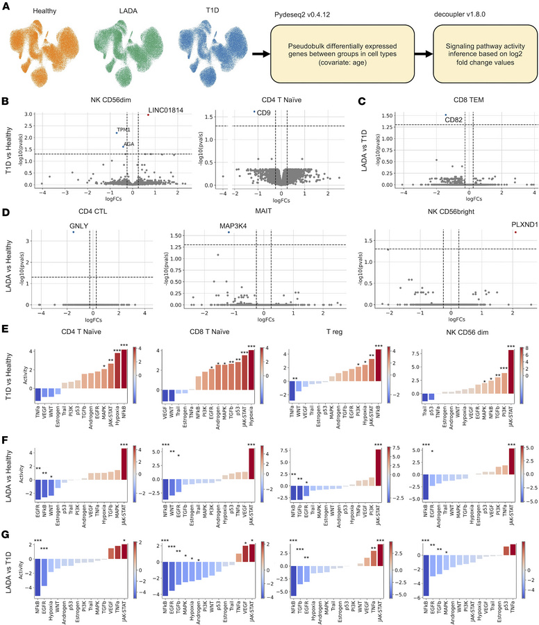 Signaling pathway activity inference in immune cells from healthy donors...