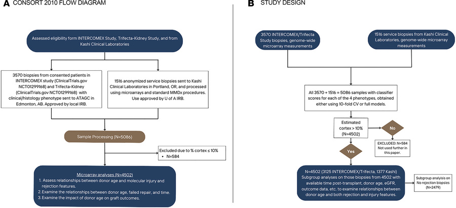Consort diagram and study design for these analyses presented in the 450...