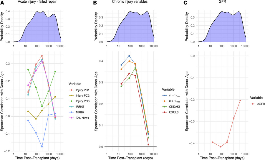 Changes in Spearman correlations over time between donor age and injury-...