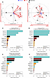 Relationships between injury and rejection molecular features as well as do