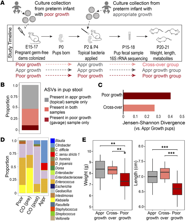Microbial communities from infants with appropriate growth prevent postn...