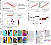 Extremely preterm infant growth trajectories and fecal microbiome profiles.