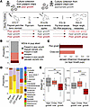 Microbial communities from infants with appropriate growth prevent postnata
