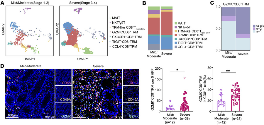 GZMK+CD8+ TRM cell infiltration correlates with intestinal aGVHD severit...