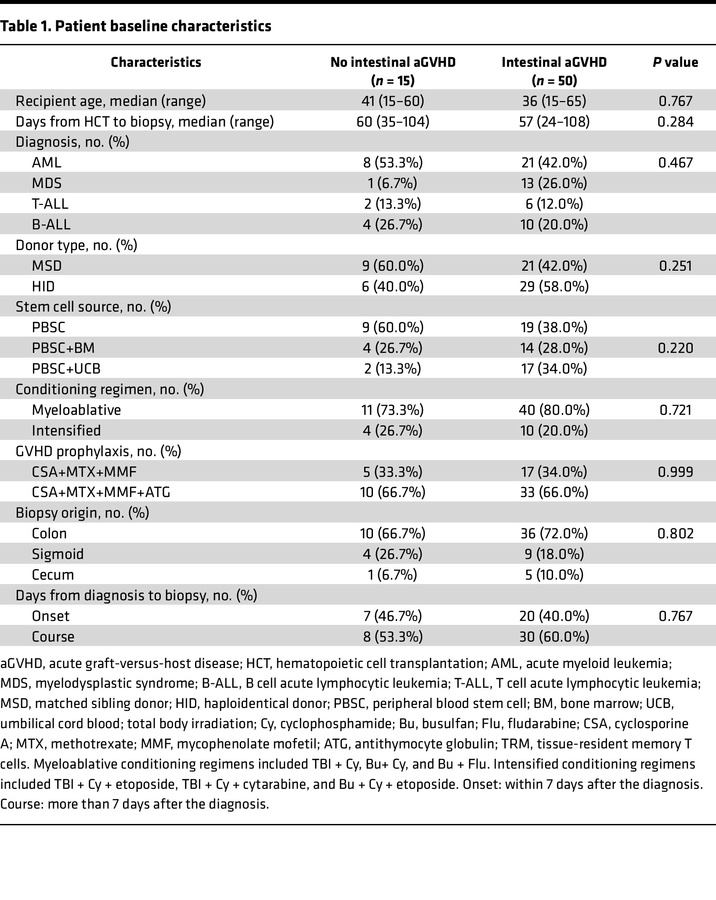 Patient baseline characteristics