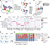 Single-cell analysis identifies distinct CD8+ TRM subsets in the human inte