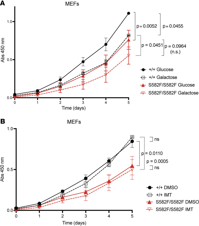 The Polrmt S582F mutation compromises cellular proliferation in MEFs.
(A...