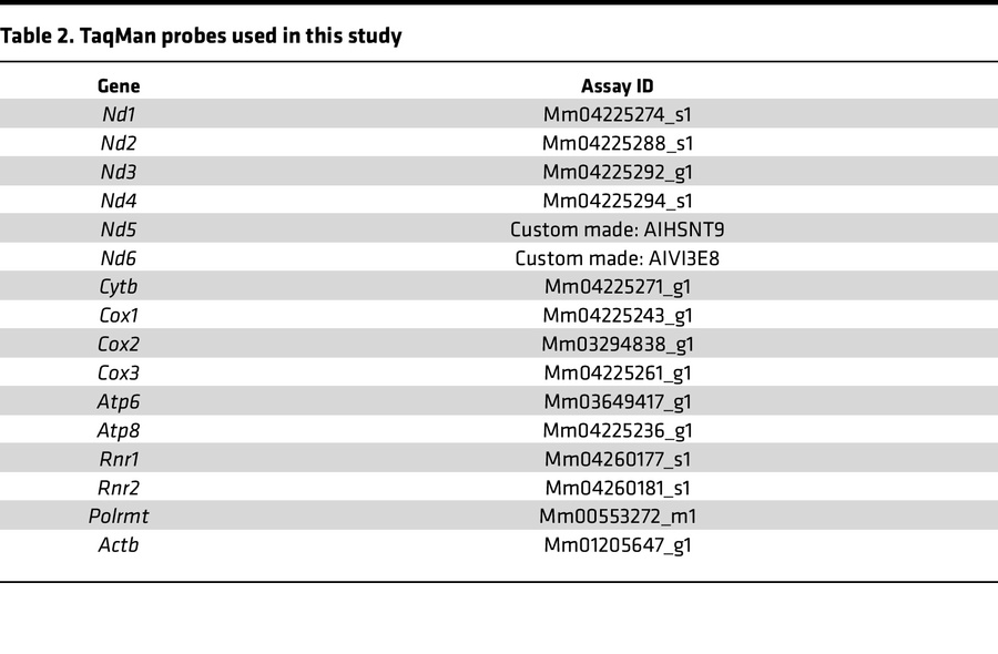 TaqMan probes used in this study