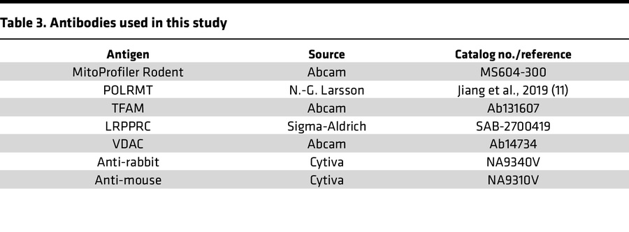 Antibodies used in this study