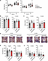 Phenotypic characterization of PolrmtS582F mice.