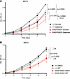 The Polrmt S582F mutation compromises cellular proliferation in MEFs.