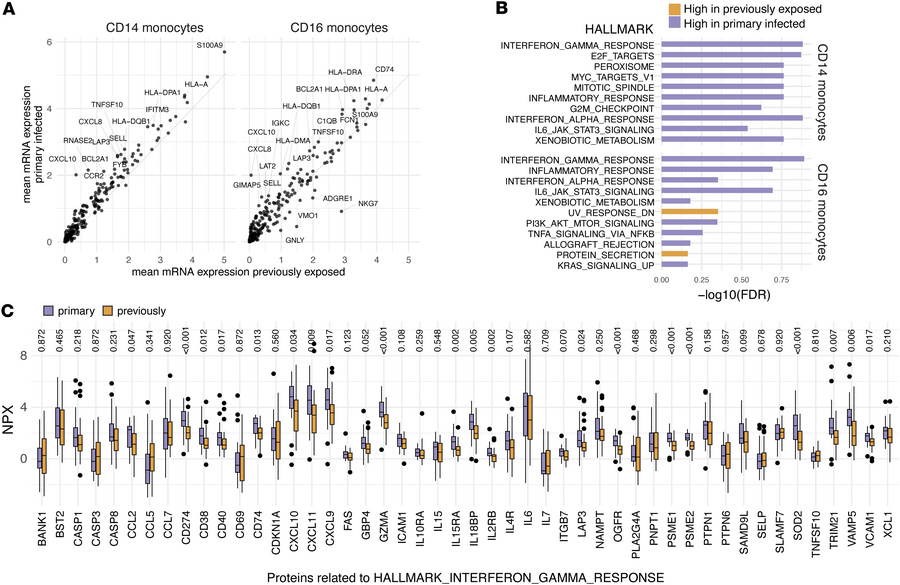 Previous malaria exposure affects transcriptomics profiles of monocytes ...