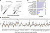 Previous malaria exposure affects transcriptomics profiles of monocytes dur