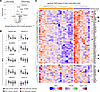 Plasma protein differences associated with malaria in individuals with prim