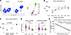 BAFF-R levels on B cells are reduced during acute malaria and highly negati