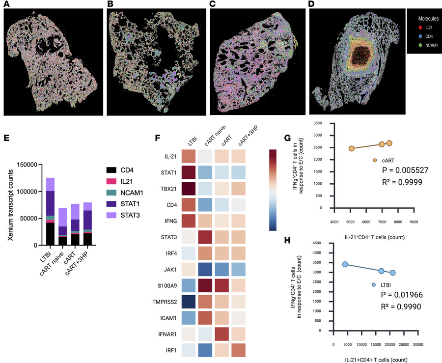 Quantification of Th1 and Th17 response associated transcript counts in ...