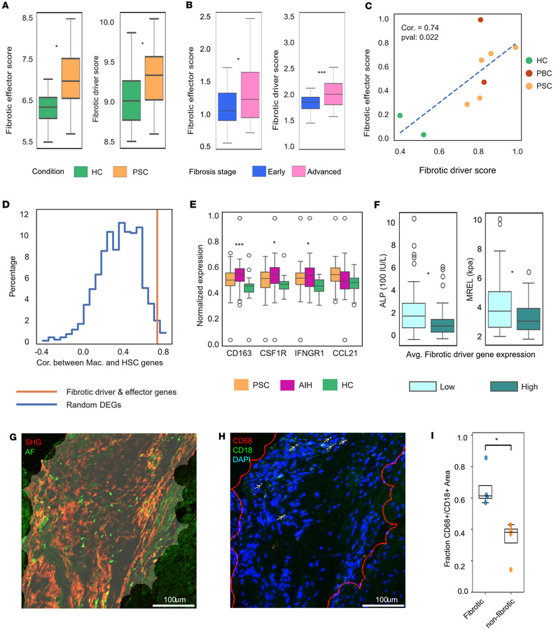 Orthogonal validation of effector and driver fibrotic signatures.
(A) In...