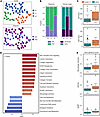 Evaluation of the association between macrophage gene programs and liver fi